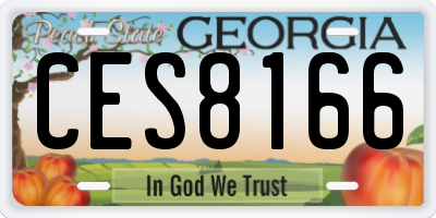 GA license plate CES8166