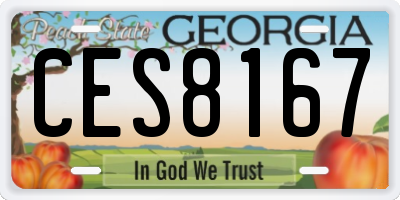 GA license plate CES8167