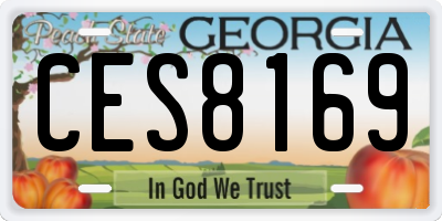 GA license plate CES8169