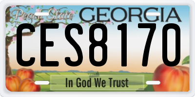 GA license plate CES8170
