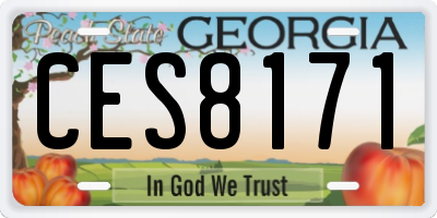 GA license plate CES8171
