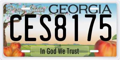 GA license plate CES8175