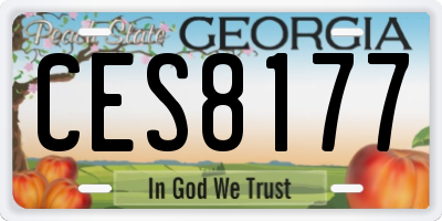 GA license plate CES8177