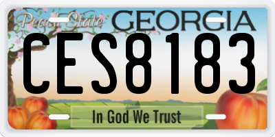 GA license plate CES8183