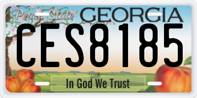 GA license plate CES8185