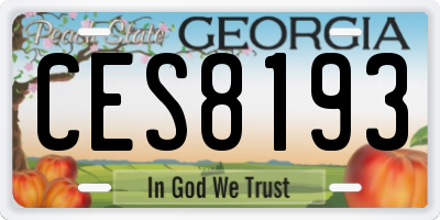 GA license plate CES8193