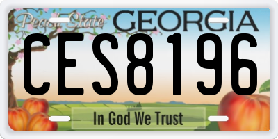GA license plate CES8196
