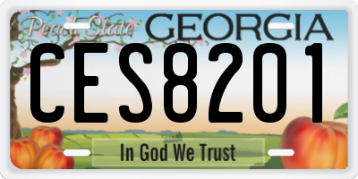 GA license plate CES8201