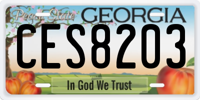 GA license plate CES8203