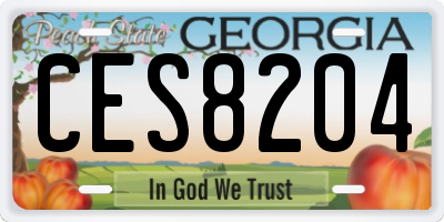 GA license plate CES8204