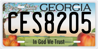GA license plate CES8205