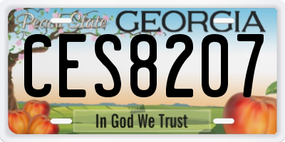 GA license plate CES8207