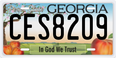 GA license plate CES8209