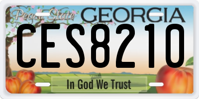 GA license plate CES8210