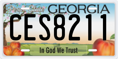 GA license plate CES8211