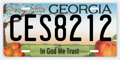 GA license plate CES8212