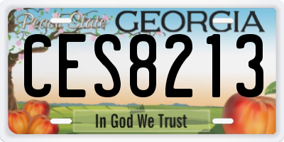 GA license plate CES8213