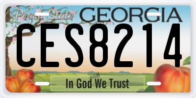 GA license plate CES8214
