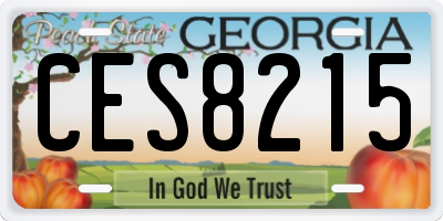 GA license plate CES8215