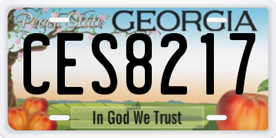 GA license plate CES8217