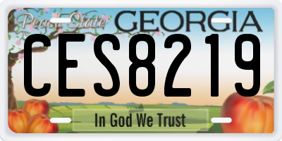 GA license plate CES8219