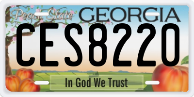 GA license plate CES8220