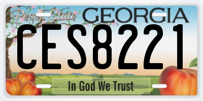 GA license plate CES8221