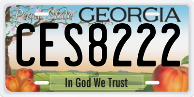 GA license plate CES8222