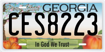 GA license plate CES8223