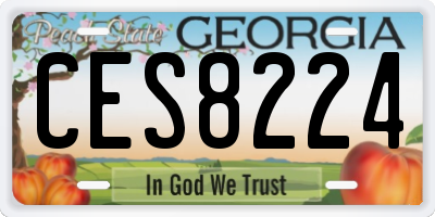 GA license plate CES8224