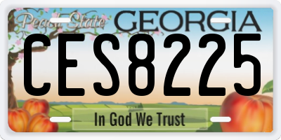 GA license plate CES8225