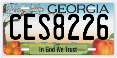 GA license plate CES8226