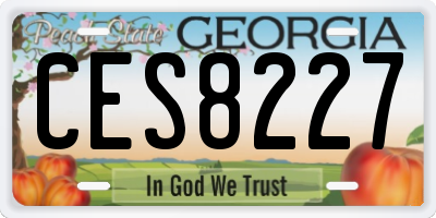 GA license plate CES8227