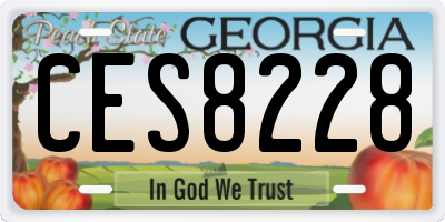 GA license plate CES8228
