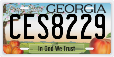 GA license plate CES8229