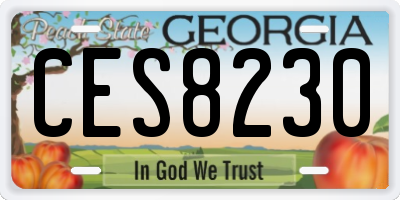 GA license plate CES8230