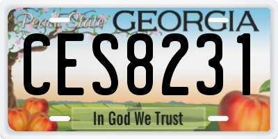 GA license plate CES8231