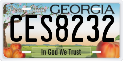 GA license plate CES8232