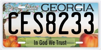 GA license plate CES8233