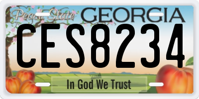 GA license plate CES8234