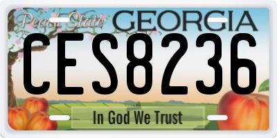 GA license plate CES8236