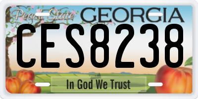 GA license plate CES8238