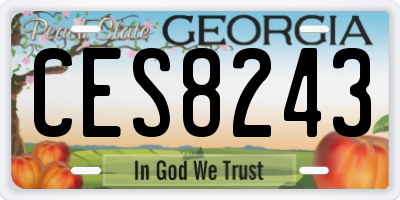 GA license plate CES8243
