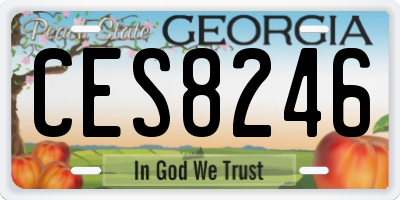 GA license plate CES8246