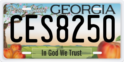 GA license plate CES8250