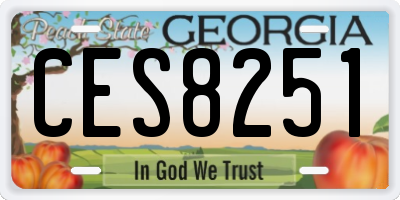 GA license plate CES8251