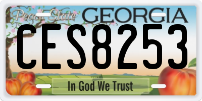 GA license plate CES8253