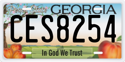 GA license plate CES8254