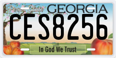 GA license plate CES8256