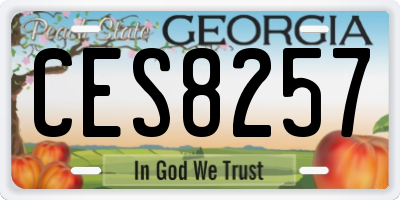 GA license plate CES8257